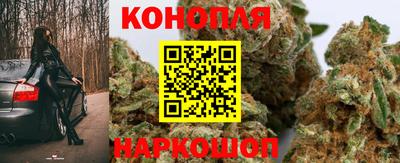 винт Заволжье