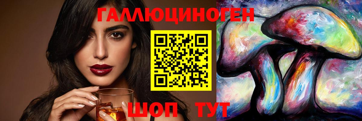 Псилоцибиновые грибы Psilocybe Лениногорск
